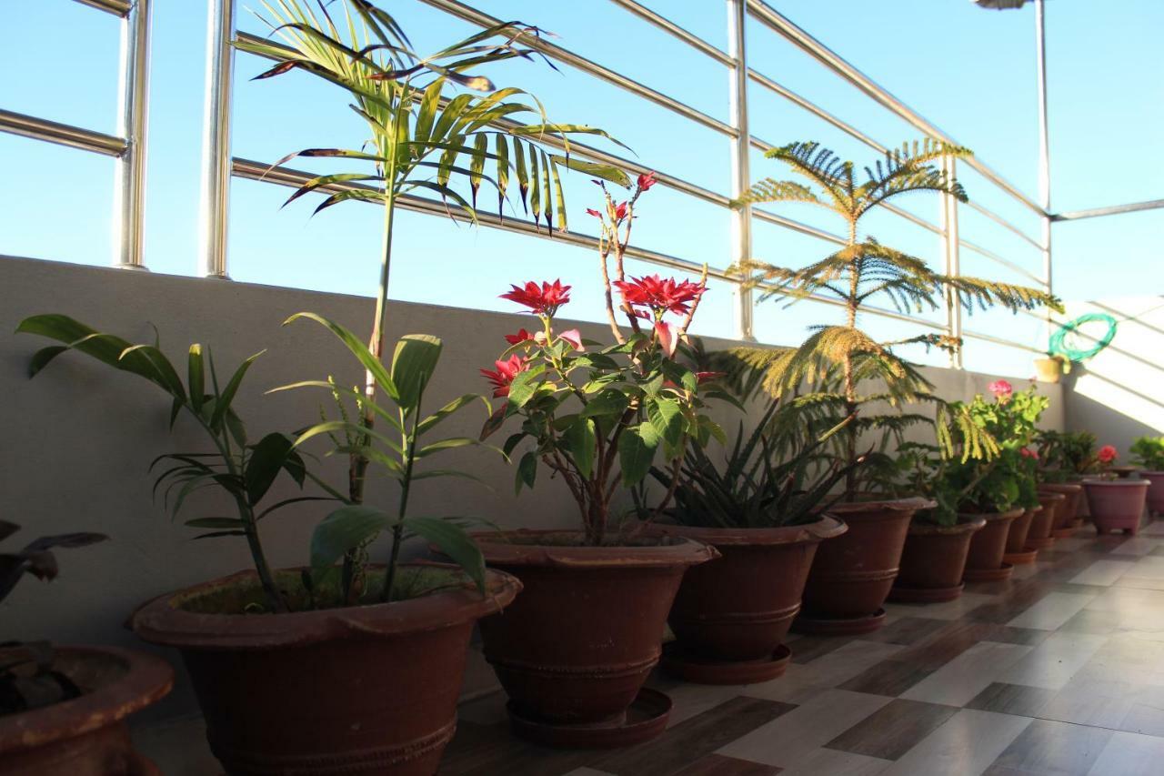 Natures Treat Homestay Tānsing Exterior foto